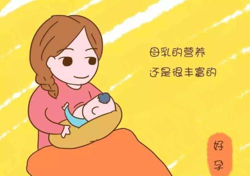 91免费黄片软件下载助你提高母乳的质量